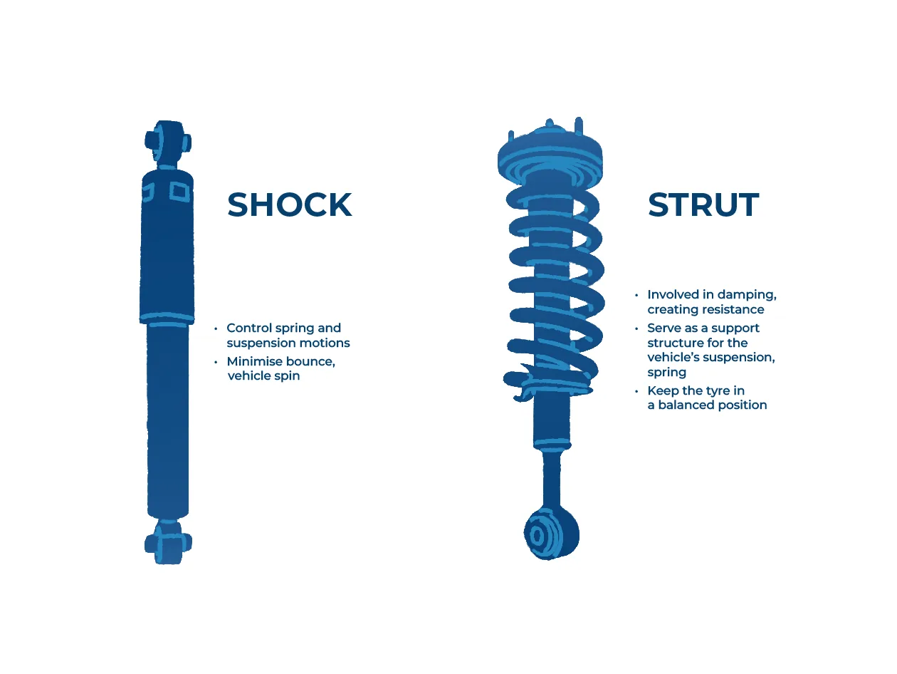 Diagram comparing a shock absorber and a strut assembly with a coil spring